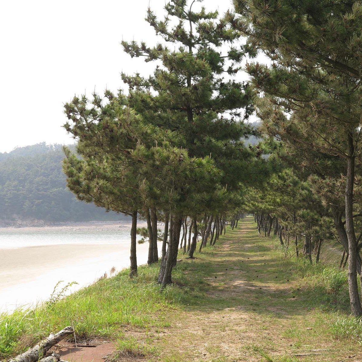 태안해안 국립공원 - 태안 - 태안해안 국립공원의 리뷰 - 트립어드바이저