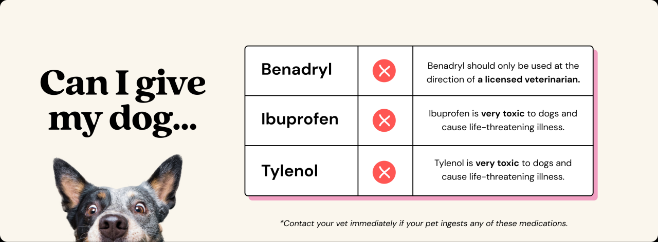 How Much Benadryl Is Safe For Dogs?