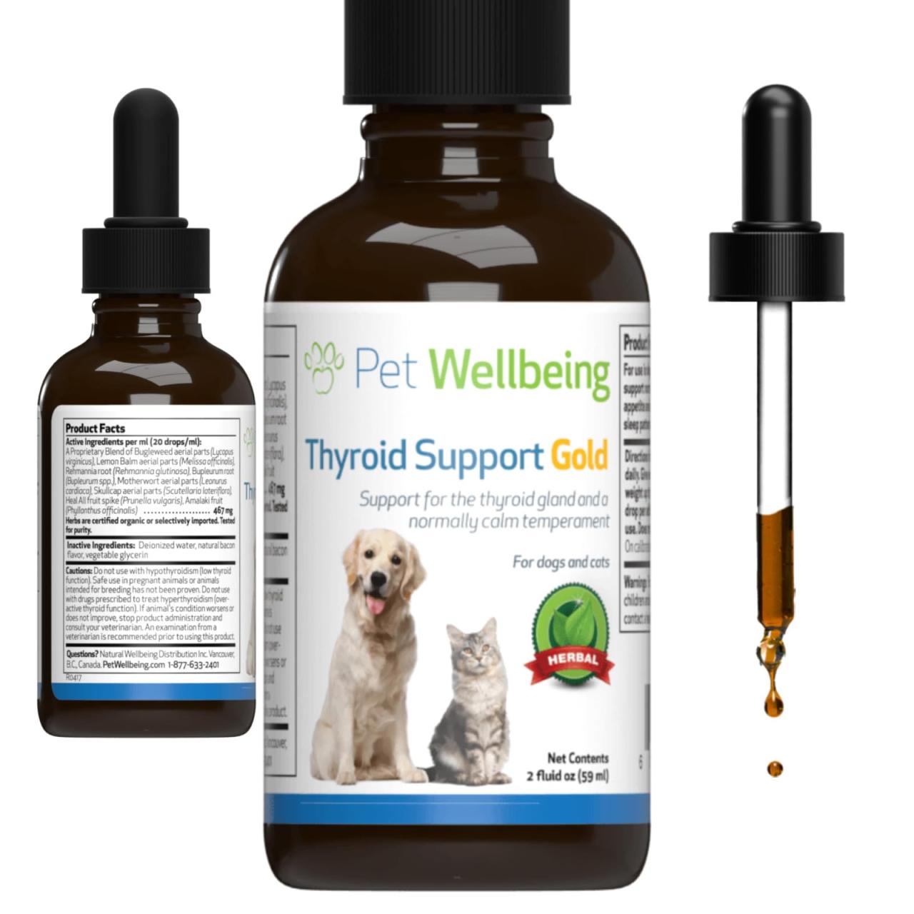 how-to-administer-thyroid-medicine-to-your-dog-a-guide