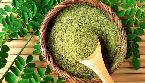 Moringa For Weight Loss – Tribe Organics