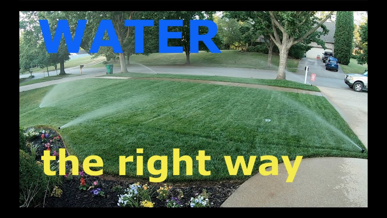 What are the proper steps for fertilizing my lawn? (9 Things You Need What Are The Proper Steps For Fertilizing My Lawn? (9 Things You Need