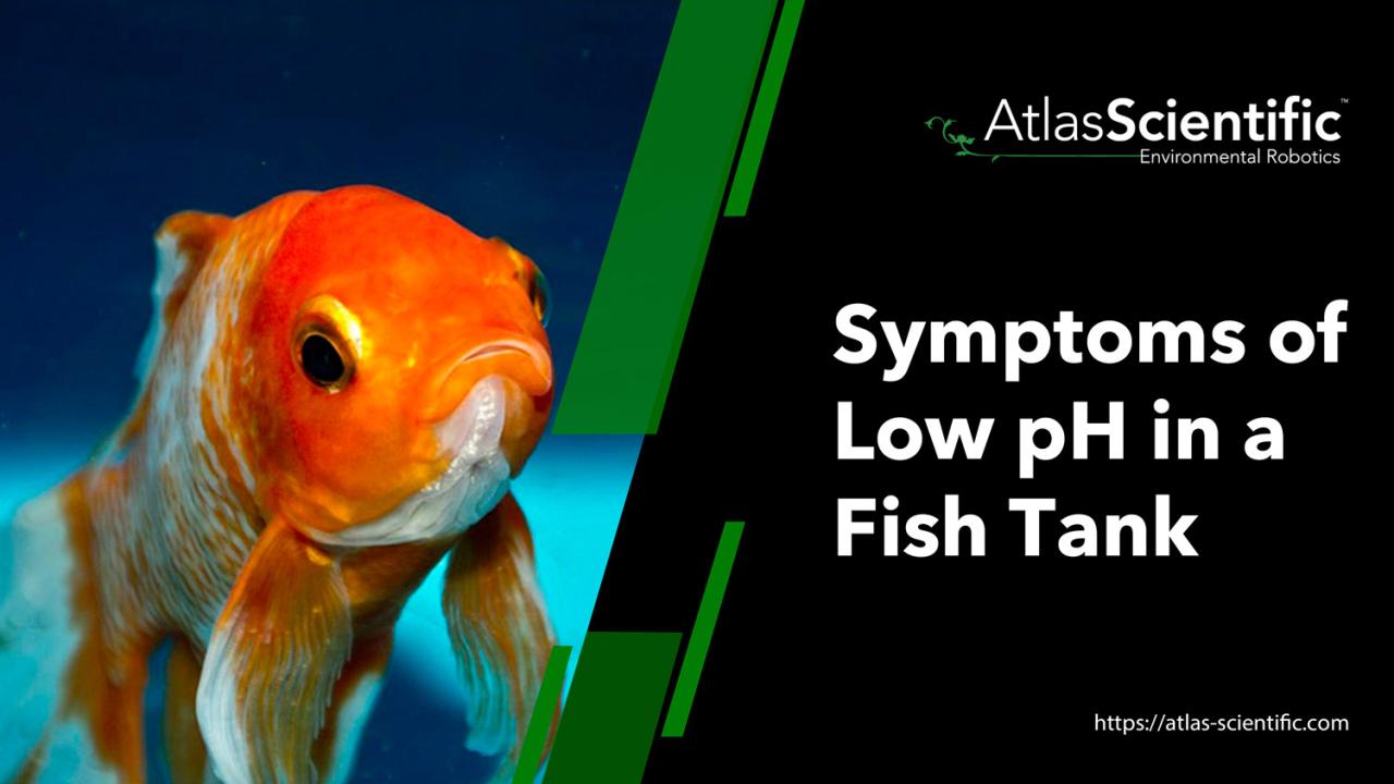 Symptoms Of Low Ph In A Fish Tank | Atlas Scientific